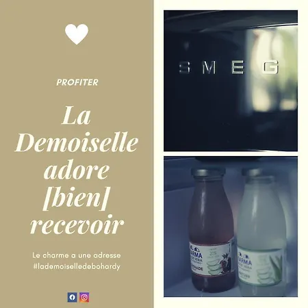 La Demoiselle De Bohardy *