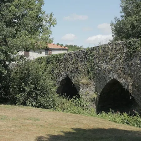 La Demoiselle De Bohardy Montrevault