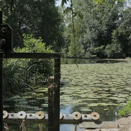 La Demoiselle De Bohardy *