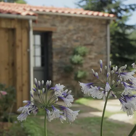 Апартаменты La Demoiselle De Bohardy Montrevault