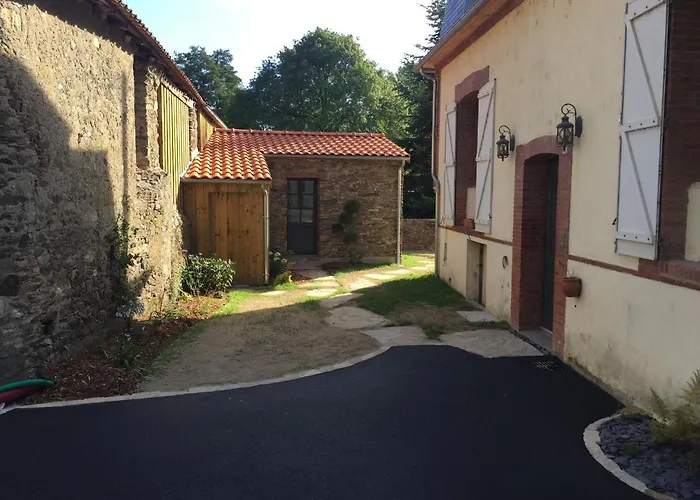 La Demoiselle De Bohardy Montrevault