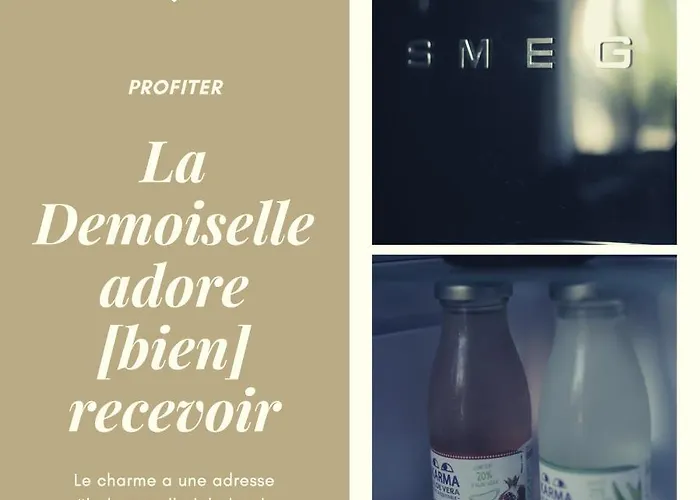 La Demoiselle De Bohardy *