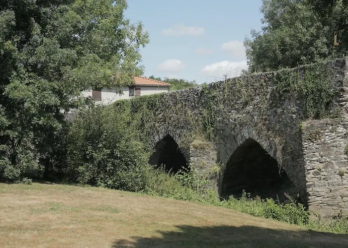 La Demoiselle De Bohardy Montrevault