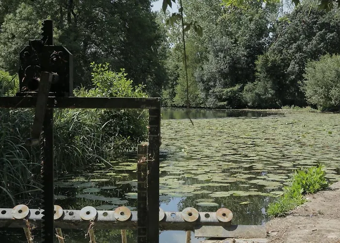 La Demoiselle De Bohardy *