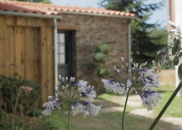 Apartament La Demoiselle De Bohardy Montrevault